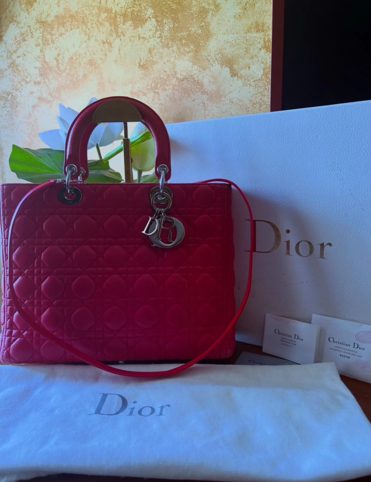 Lady Dior Large