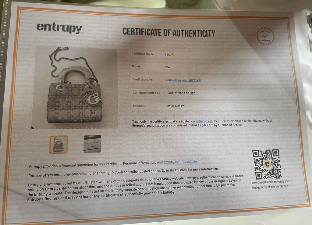 Mini Lady Dior in Raso Grigio con Strass e Cristalli - Certificata Entrupy
