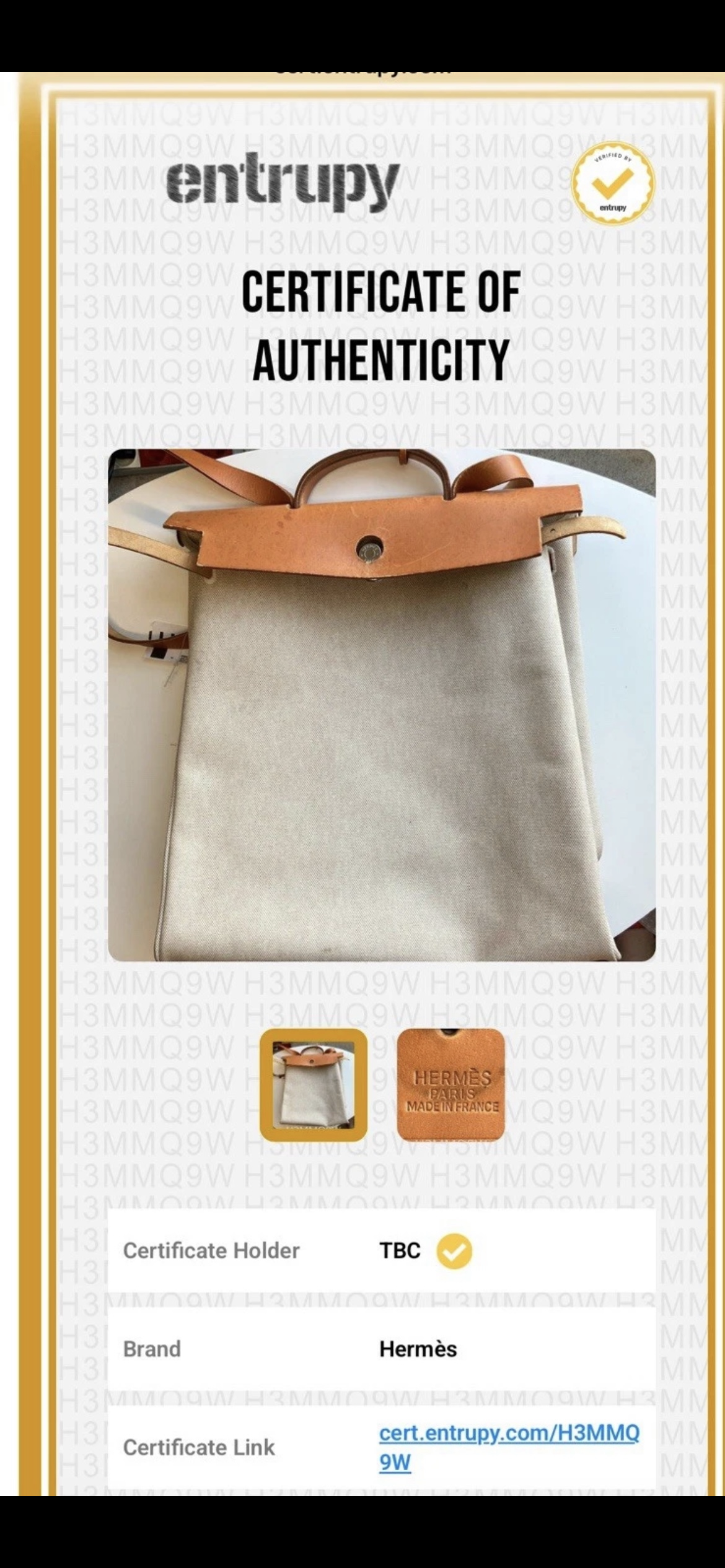 Borsa Hermès Herbag MM  (Modello 2-in-1 in Tela e Cuoio)