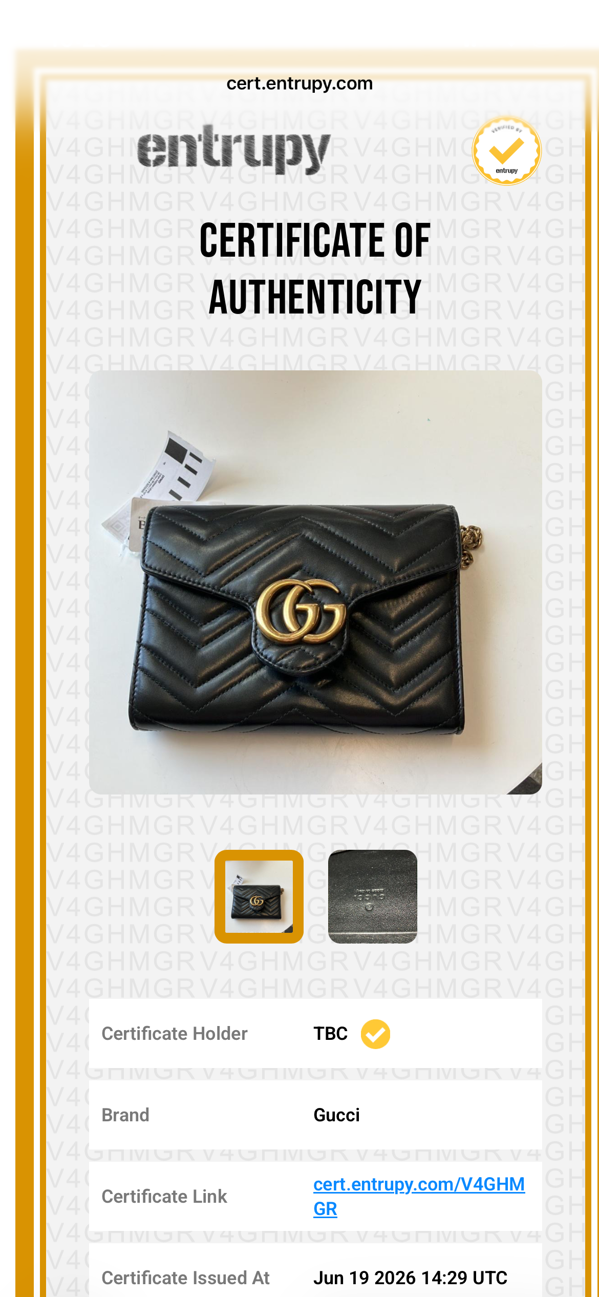Gucci GG Marmont mini bag
