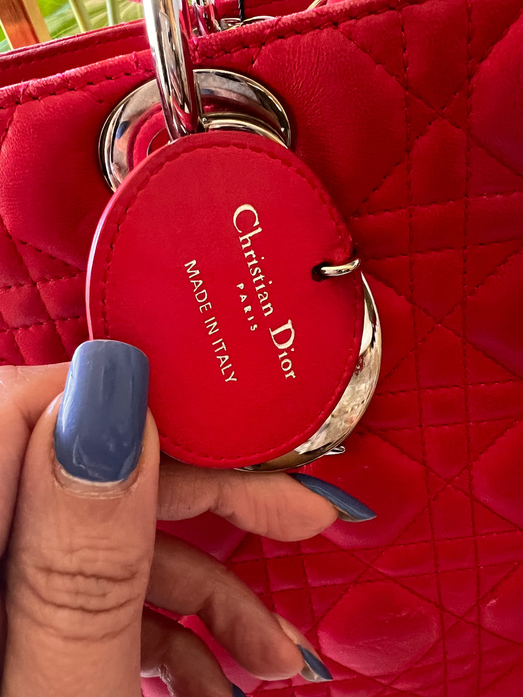 Lady Dior Large